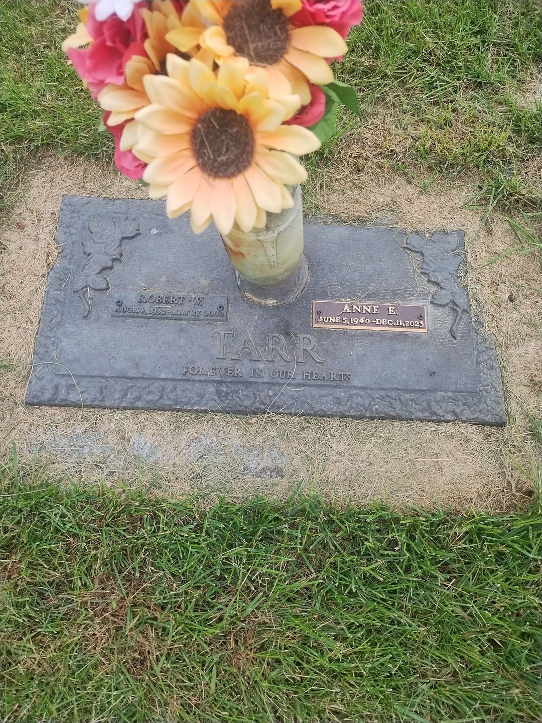 Anne Elizabeth Morhart Tarr's grave. Photo 3